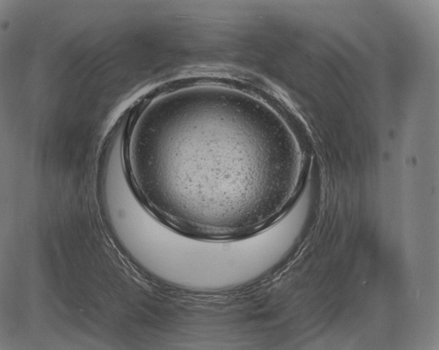 X0000085271312200703091342