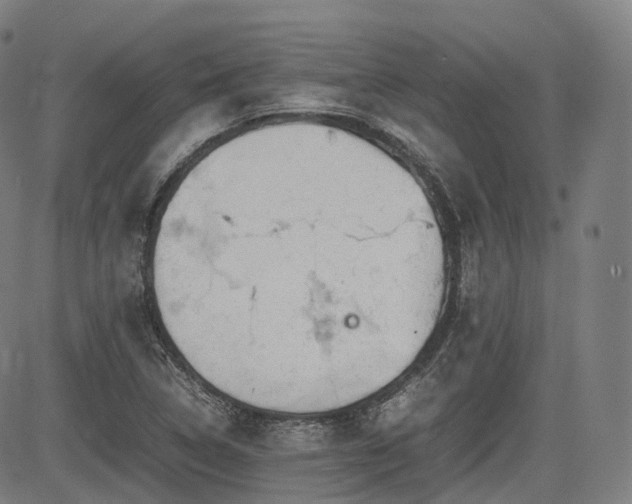 X0000085271314200703091342