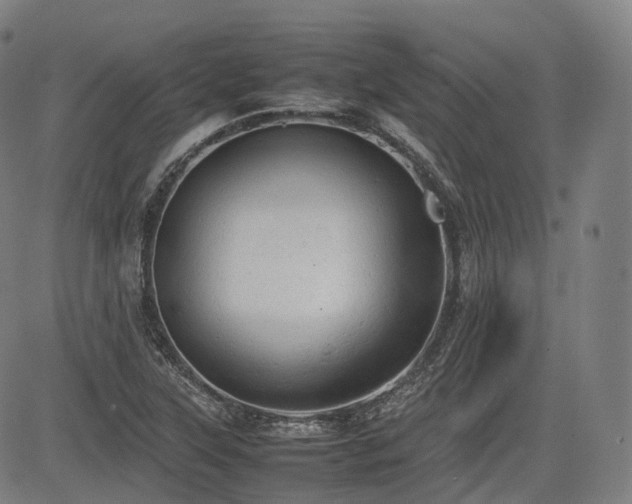 X0000085271315200703091342