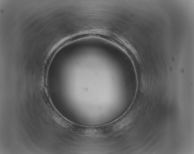 X0000085271316200703091342