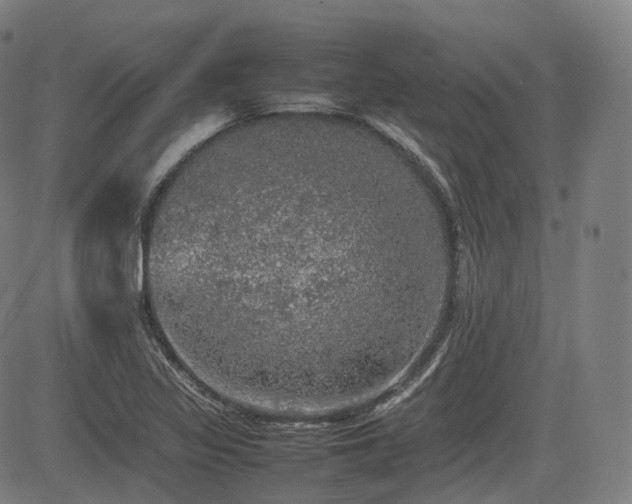 X0000085271317200703091342