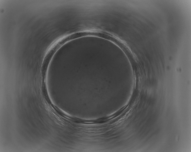 X0000085271319200703091342