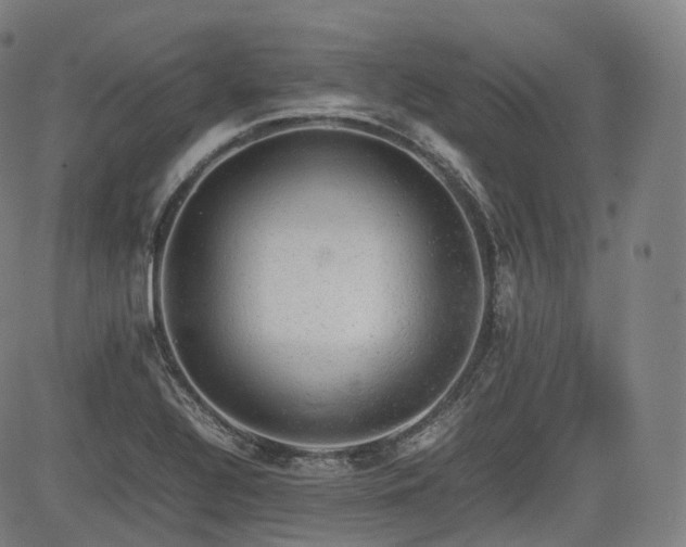 X0000085271320200703091342