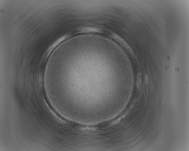 X0000085271321200703091342