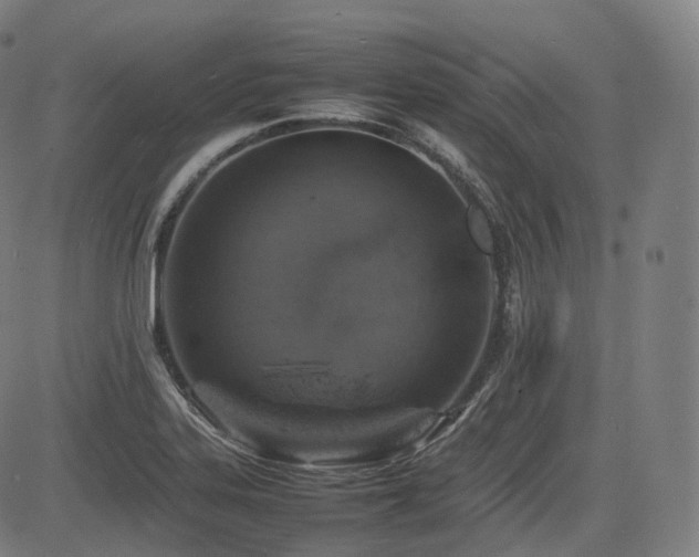 X0000085271323200703091342