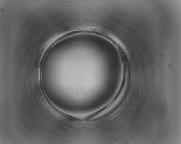 X0000085271324200703091342