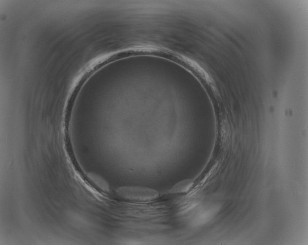 X0000085271327200703091342