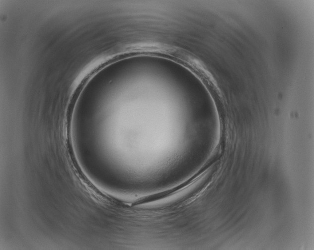 X0000085271328200703091342