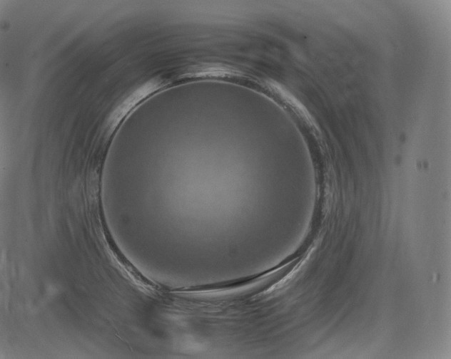 X0000085271329200703091342