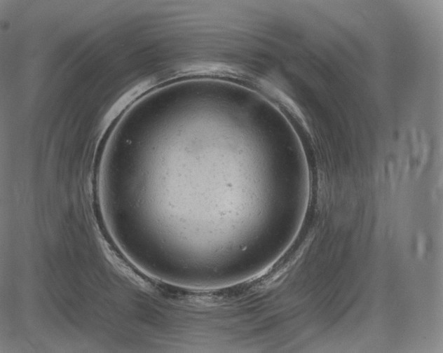 X0000085271330200703091342