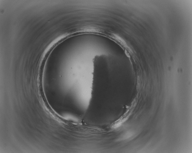 X0000085271331200703091342