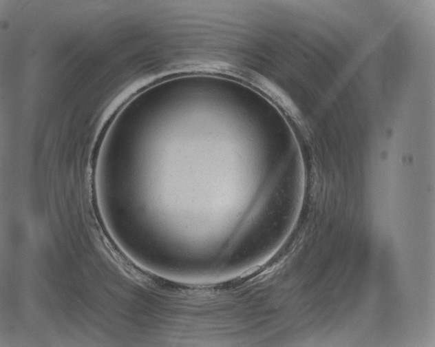 X0000085271332200703091342