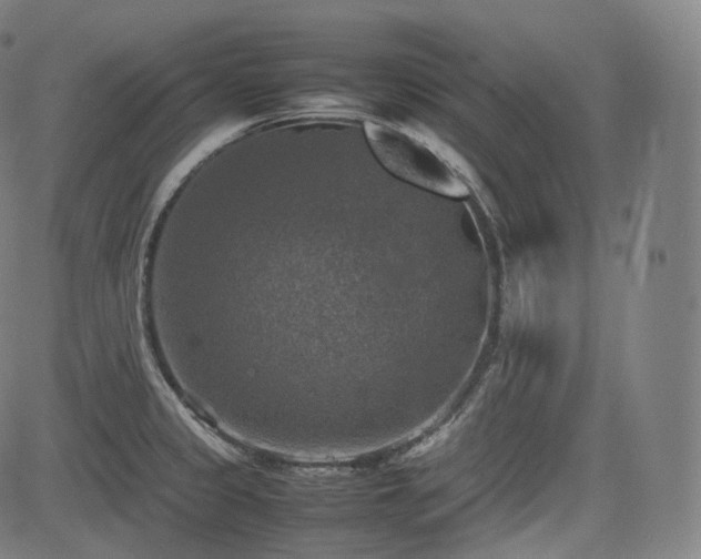 X0000085271333200703091342