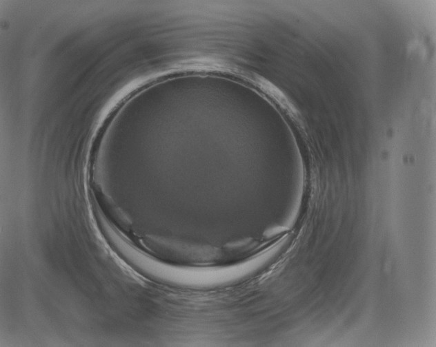 X0000085271334200703091342