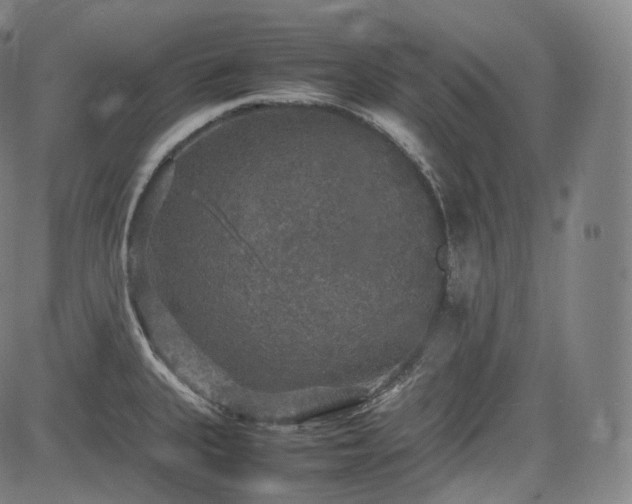 X0000085271335200703091342