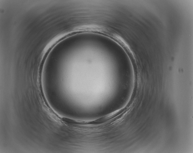 X0000085271336200703091342