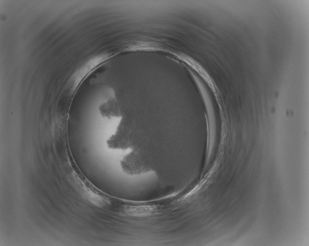 X0000085271337200703091342