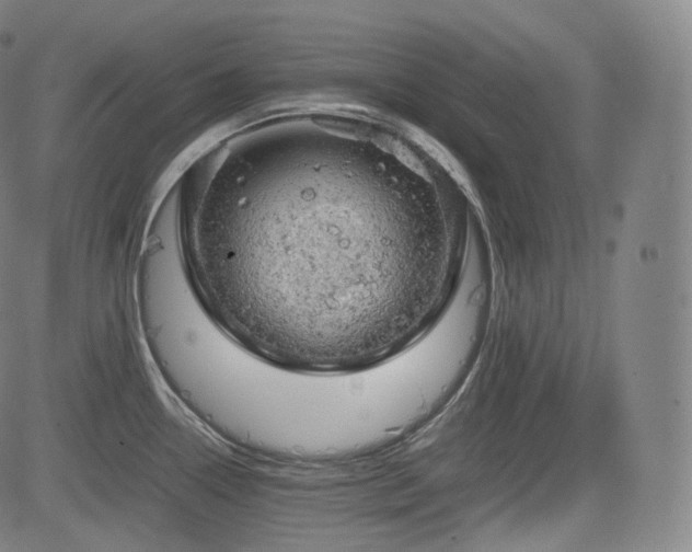 X0000085271338200703091342