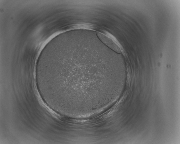 X0000085271339200703091342