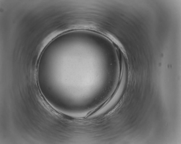 X0000085271340200703091342