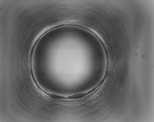 X0000085271342200703091342