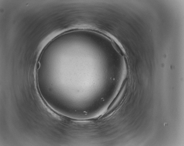 X0000085271343200703091342