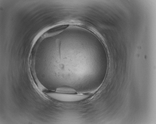 X0000085271344200703091342