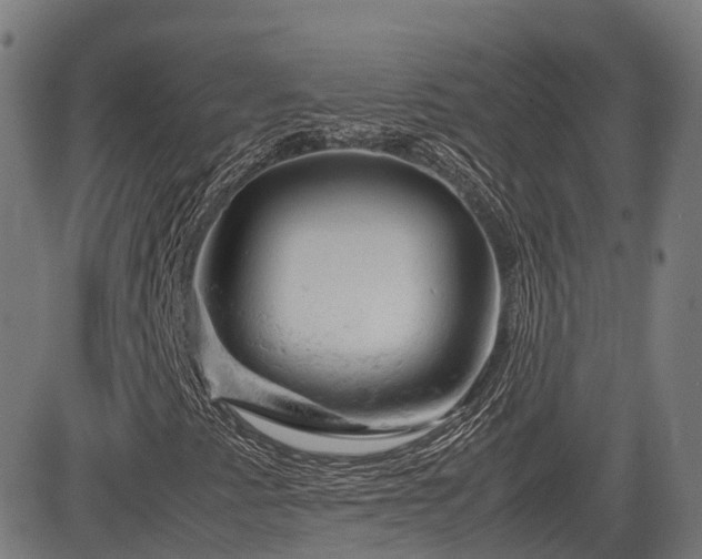 X0000085271345200703091341