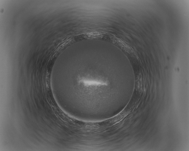 X0000085271346200703091341