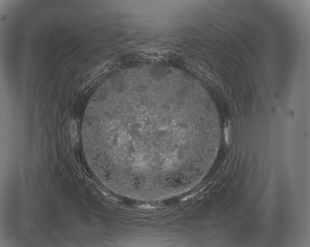 X0000085271347200703091341