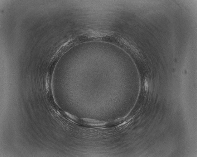 X0000085271348200703091341