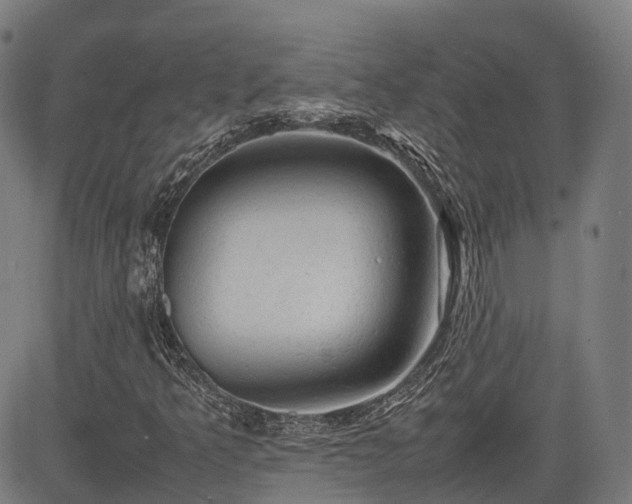 X0000085271349200703091341