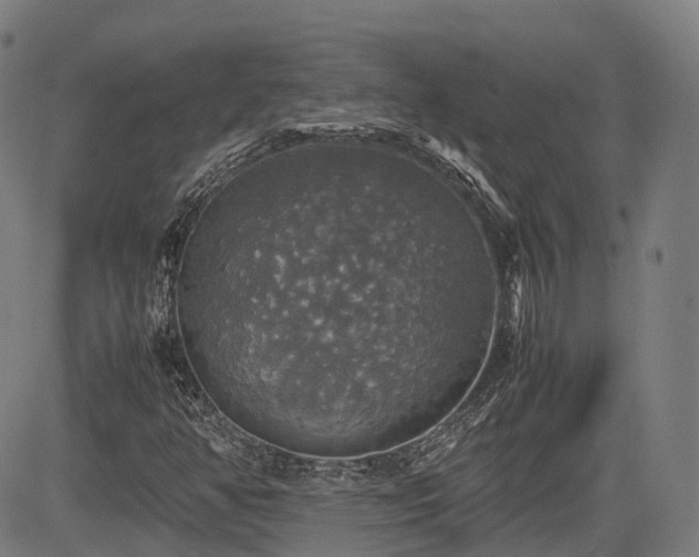 X0000085271350200703091341