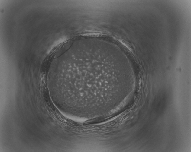 X0000085271351200703091341