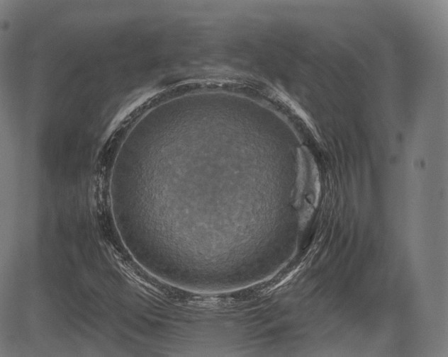 X0000085271352200703091341