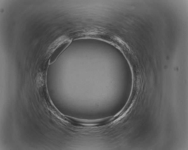 X0000085271353200703091341