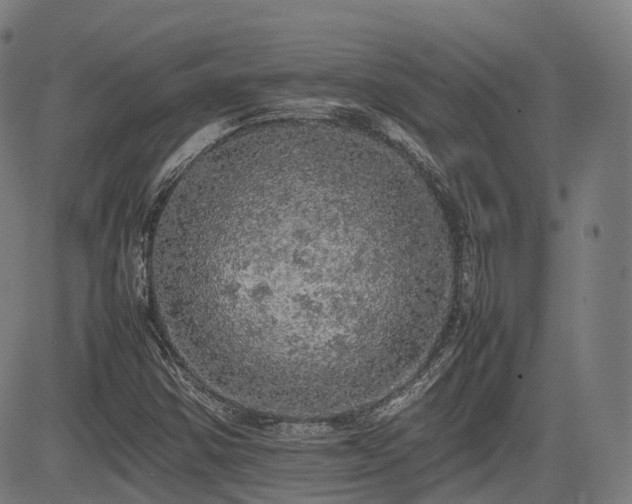 X0000085271354200703091341