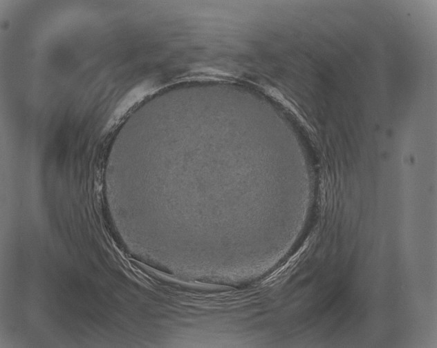 X0000085271355200703091341