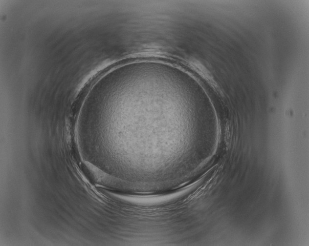 X0000085271356200703091341