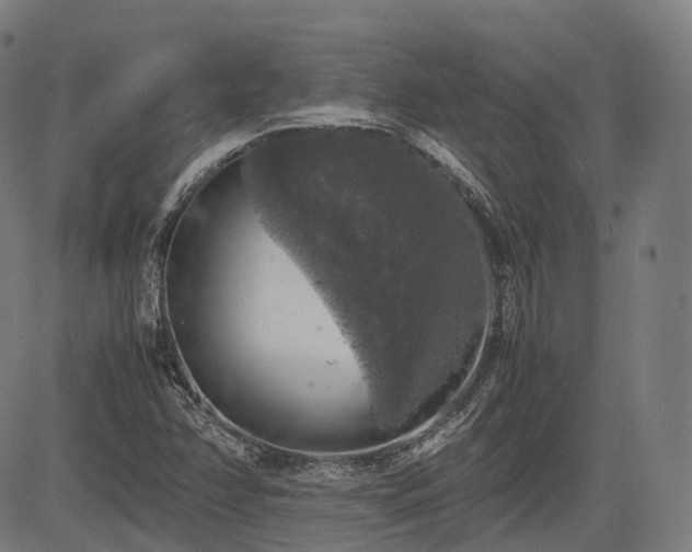 X0000085271358200703091341