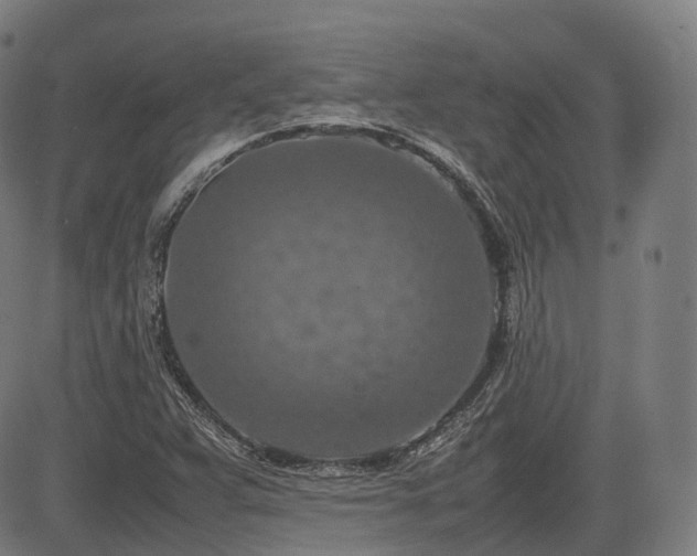 X0000085271359200703091341