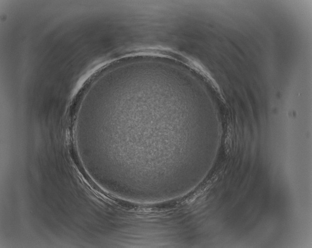 X0000085271360200703091341