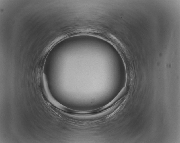 X0000085271361200703091341