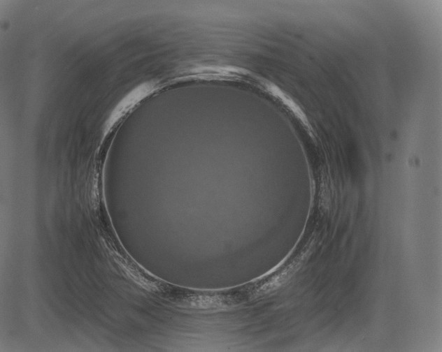 X0000085271362200703091341