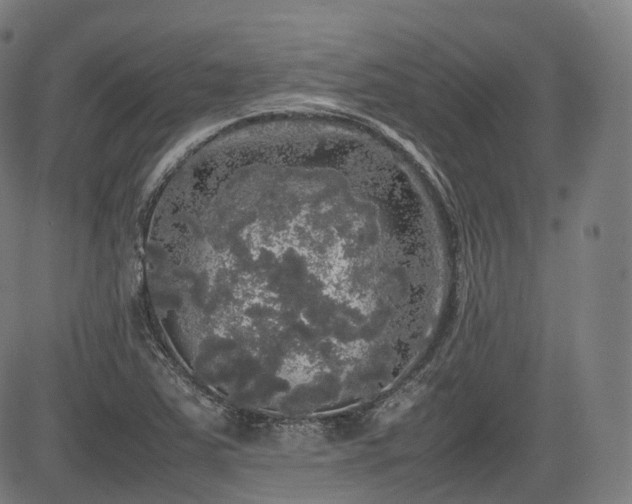 X0000085271363200703091341