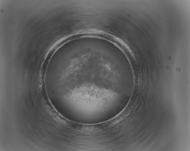 X0000085271364200703091341