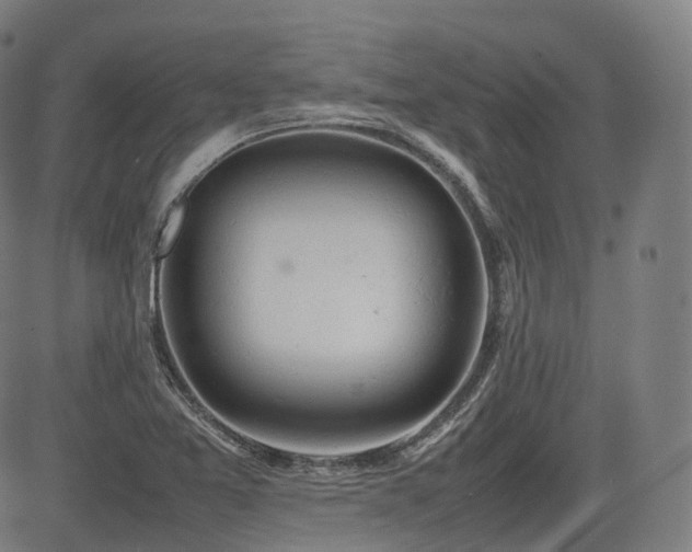 X0000085271365200703091341