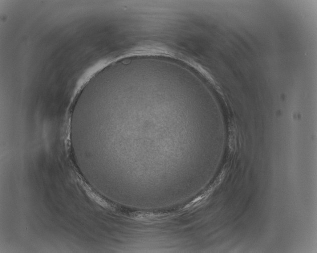 X0000085271366200703091341