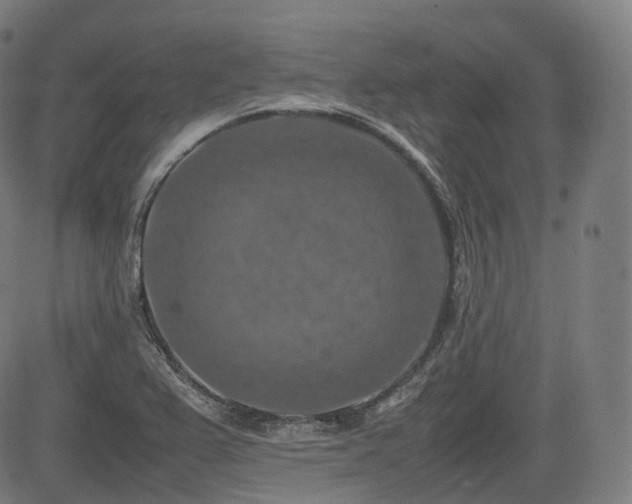 X0000085271367200703091341