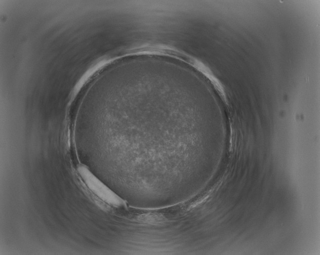 X0000085271368200703091341